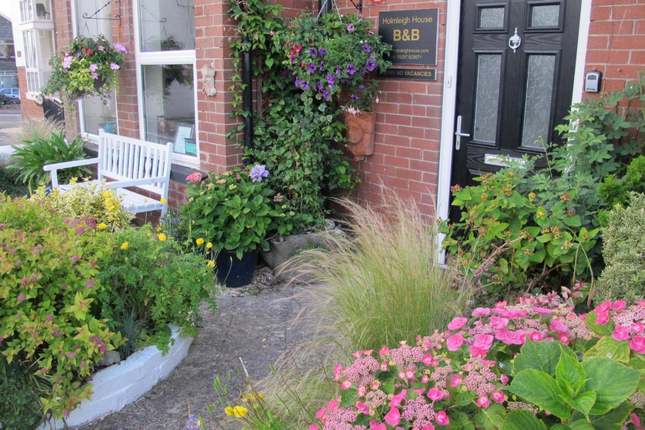 Holmleigh House Bed And Breakfast Seaton Exteriér fotografie